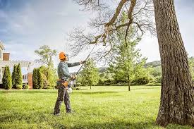 Best Hedge Trimming  in Charlotte, NC